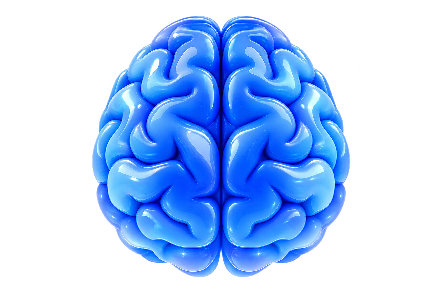 brain